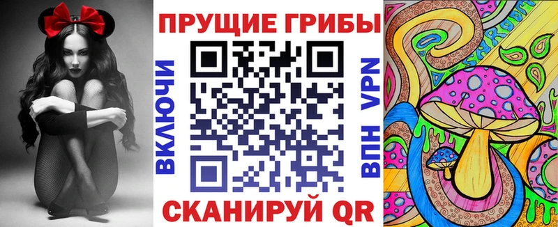 Галлюциногенные грибы Psilocybe  Купить  Инта 
